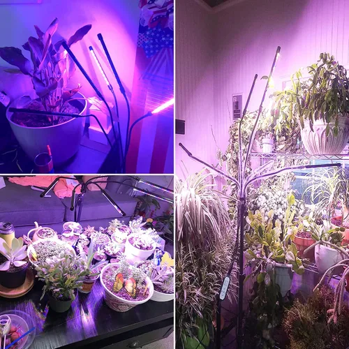 Miniatura 7 de Wolezek Luces de cultivo para plantas de interior, 100 luces LED de espectro completo para plantas de interior con soporte ajustable, lámpara