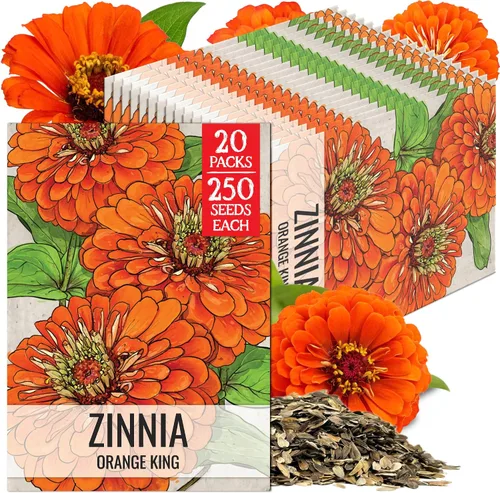Miniatura 46 de Seed Needs California Giants - Semillas de zinnia – 250 semillas tradicionales para plantar Zinnia elegans – Cultiva flores anuales polinizadas