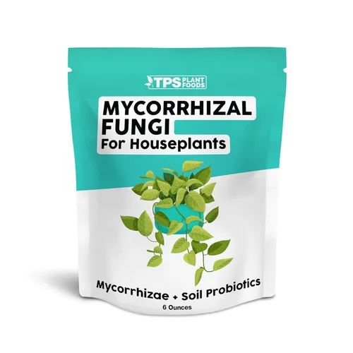 Hongos micorrícicos para plantas de interior - Suplemento de microbail para raíces más fuertes y un crecimiento interior más saludable, 6 onzas