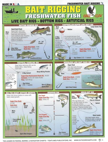 Gráfico de Montaje de Cebo de Agua Dulce #1 - Guía de Pesca Rápida y Resistente al Agua - (Montajes de Cebo Vivo, Montajes Artificiales y Montajes