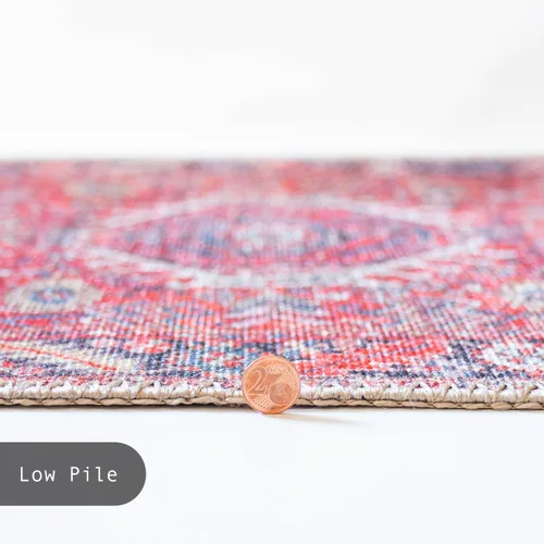 Miniatura 230 de GLN Rugs Traditional Collection - Alfombra de felpilla lavable a máquina, tradicional lavable, antideslizante, alfombra de felpilla de pelo corto