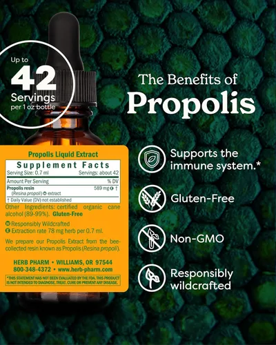 Miniatura 2 de Herb Pharm Extracto de hierbas líquido de propóleos: Apoyo inmunológico de propóleos Propóleo de abeja para el bienestar Extracto líquido