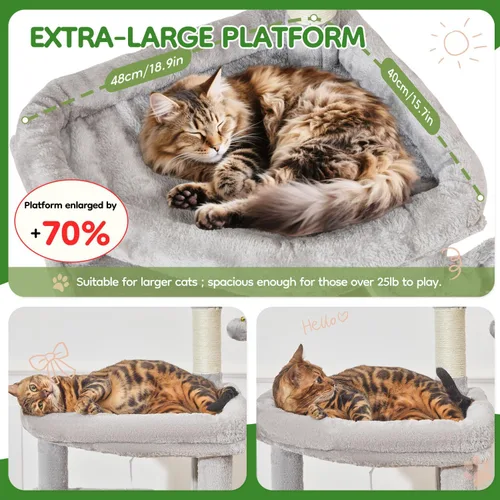 Miniatura 2 de Taoqimiao MS042W - Árbol para gatos, torre grande para gatos de 66 pulgadas con postes rascadores, lujosa plataforma grande para gatos grandes