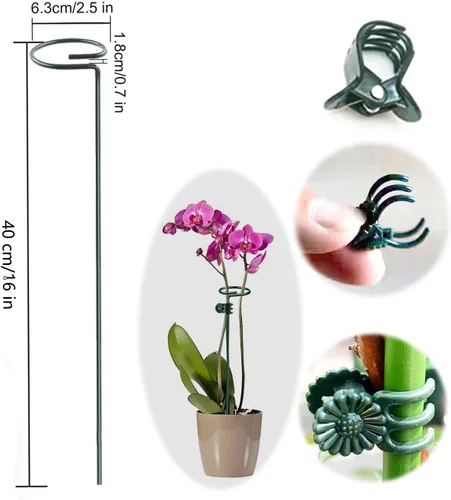 Miniatura 2 de SUNYAY 10 estacas y anillos de metal de 16 pulgadas para amarilis, orquídea, lirio, girasol, rosa, narciso, 10