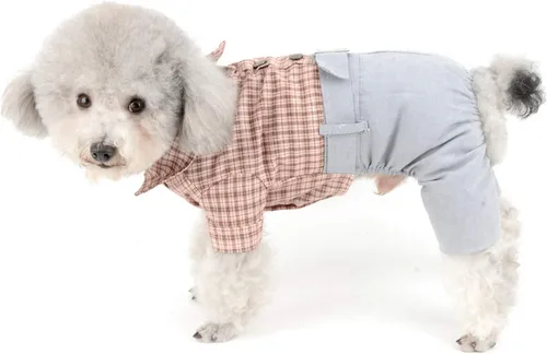 Miniatura 8 de SMALLLEE_Lucky_Store Camisas de algodón a cuadros británicos con botones para perros pequeños, niños con cinturón, pantalones casuales para Verde