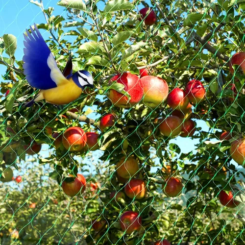 Miniatura 7 de Kikhope Red antipájaros, red para plantas de jardín de 13 x 20 pies para proteger verduras, plantas y árboles frutales de aves y animales Anti