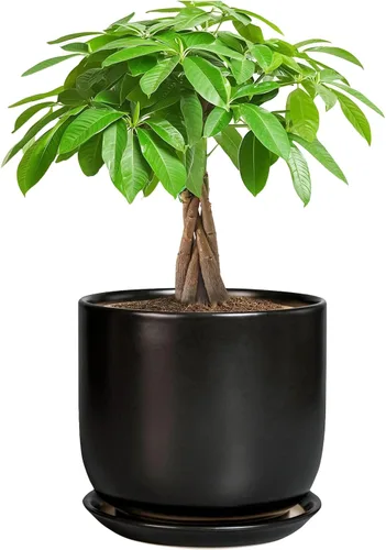Miniatura 67 de Maceta de Cerámica para Plantas de Interior de 5 Pulgadas - Maceta Redonda para Plantas Suculentas con Agujero de Drenaje y Platillo, Decoración