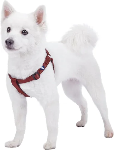 Miniatura 17 de Blueberry Pet Essentials Step-in - Arnés para perro, tamaño mediano, chaleco ajustable rosa fucsia, nailon sólido clásico para perros machos