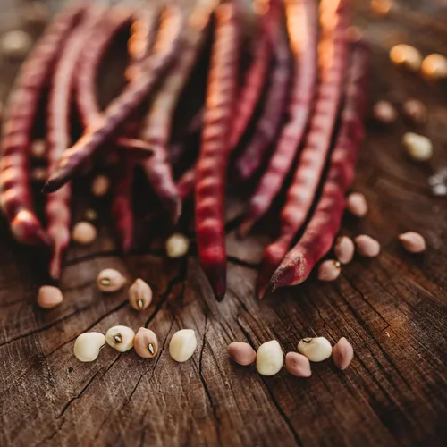 Top Pick Brown Crowder Pea/Cowpey, 50 semillas, variedad tradicional y polinizada abierta, cultivadas en Estados Unidos, semillas de vegetales sin