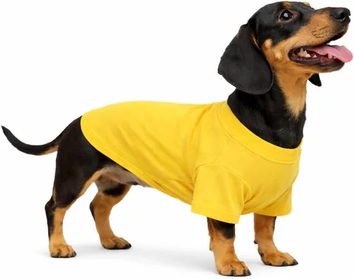 Lovelonglong 2019 Ropa para mascotas, disfraces para perro, ropa de perro salchicha, camiseta en blanco para perros salchicha, Corgi 100% algodón,