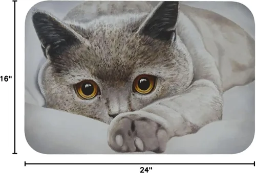 Miniatura 2 de Tapete de baño para gatos, tierra de diatomeas, súper absorbente, antideslizante, de secado rápido, tapete de baño o cocina, 16 x 24 pulgadas