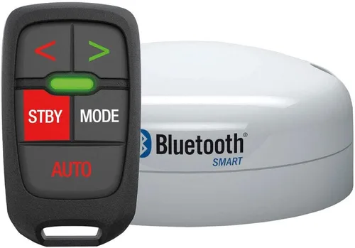 Lowrance Control remoto WR10 + paquete de estación base BT1