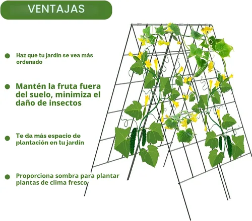 Miniatura 3 de AGTEK Paquete de 2 enrejados plegables de pepino de 18 x 46 pulgadas con bridas de cremallera, soporte para plantas, un marco de enrejado de metal