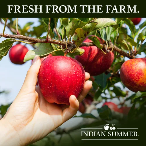 Miniatura 2 de Indian Summer Puré de manzana en trozos premium hecho con manzanas estadounidenses por cultivadores estadounidenses