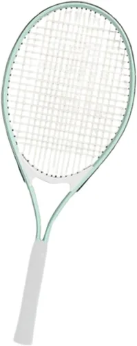Miniatura 7 de Raquetas de tenis para adultos, ligeras, portátiles, equipo de iniciación de tenis, para principiantes, para parque, playa, jardín, para hombres