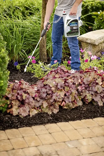 Miniatura 4 de Scotts Mulch Color Renewal Brown, 1 gal. Marrón