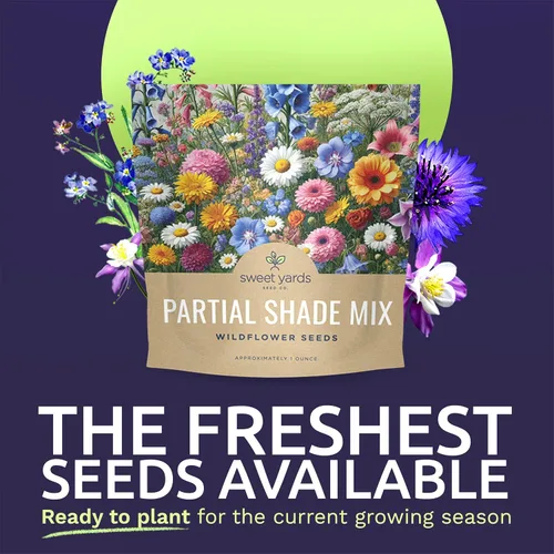 Miniatura 2 de Wildflower Seeds Mezcla de sombra parcial, 1 onza más de 7,000 semillas anuales y perennes polinizadas abiertas