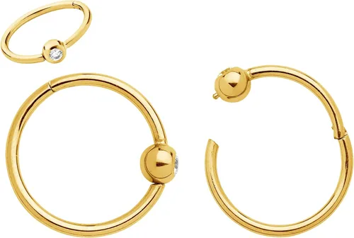 Miniatura 25 de 365 Sleepers Anillo de titanio de 18G de 0.236 a 0.394 pulgadas, con bisagras, segmento BCR, hélice, tragus, septum, nariz, labio, arete de aro