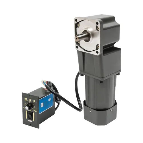 Miniatura 25 de 15W 10K AC110V 125 RPM Motor reductor de engranajes variable ajustable con controlador de velocidad para la industria