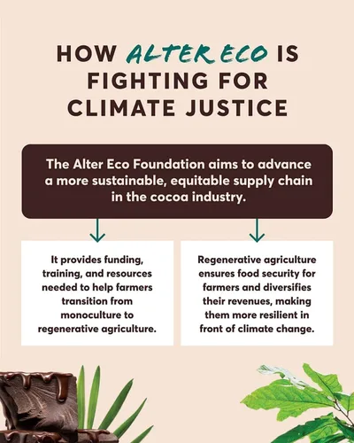 Miniatura 5 de Alter Eco Trufas de sal de mar oscuro profundo 58% cacao oscuro puro, comercio justo, orgánico, sin OMG, trufas de chocolate negro sin gluten