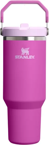 Miniatura 47 de Stanley IceFlow - Vaso con pajilla abatible con asa, de 20 onzas, tapa giratoria y popote abatible, botella de agua resistente a fugas, acero