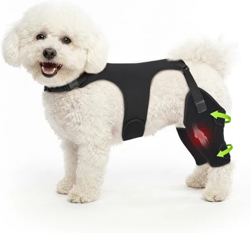 Rodilleras para perro para pierna trasera, soporte ajustable para piernas con 2 estabilizadores, soporte de cadera para reducir el dolor, lesiones