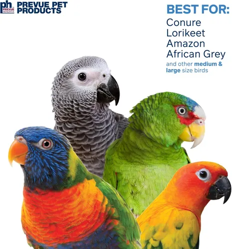 Miniatura 4 de Prevue Pet Products Sink 'n Seek Playfuls - Juguete para pájaros de forraje y participación, accesorios de jaula para aves pequeñas a medianas