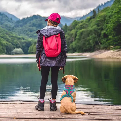 Miniatura 7 de Wolfone Arnés sin tirones para perro, ajustable, suave, acolchado, chaleco para mascotas, con asa de control, adorable arnés diario para perros