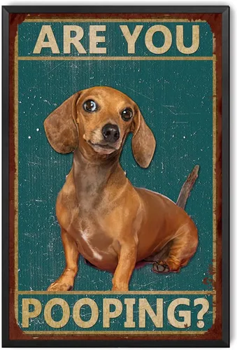Miniatura 18 de LIUAXICIA Letreros divertidos de hojalata con texto en inglés "Dog are You Pooping", decoración de pared para baño, baño, decoración para amantes