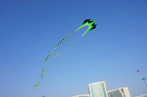 Miniatura 5 de Besra Cometa grande de rana fluida de diamante 3D de una sola línea con 2 colas largas, deportes divertidos al aire libre para niños y adultos