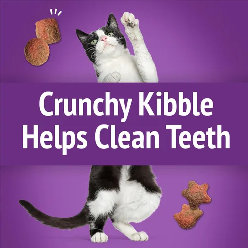 Miniatura 5 de Purina Friskies - Golosinas para gatos, mezcla de salsa crujiente sabor a pavo y salsa (paquete de 6) bolsas de 6 onzas