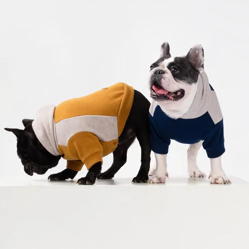 Miniatura 7 de Fitwarm - Sudadera con capucha para perros con bloques de color, ropa de invierno para perros pequeños niño niña, sudadera con capucha ligera