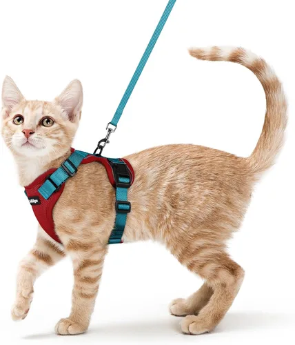 Miniatura 45 de rabbitgoo Juego de arnés y correa para gatos, arnés a prueba de escapes para paseos seguros al aire libre, chaleco suave transpirable ajustable