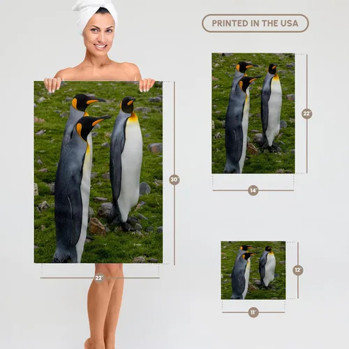 Miniatura 6 de 3D Rose South Georgia-Saint Andrews. Toalla de mano King Penguins, 15" x 22