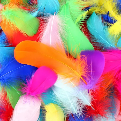HaiMay 600 plumas coloridas para manualidades, bodas, decoración de fiesta en el hogar, 3-5 pulgadas, 10 colores, plumas para manualidades