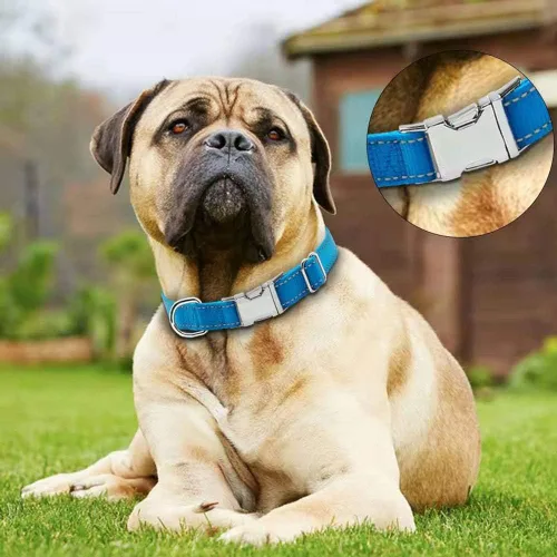 Miniatura 2 de Love Dream Collar reflectante para perro con hebilla de metal, collar de nailon ajustable de seguridad con hebilla de liberación rápida resistente