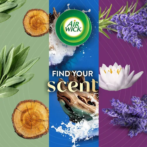 Miniatura 6 de Air Wick Vibrante repuesto de aceite perfumado enchufable, 5 unidades, nectarina y flor del paraíso, ambientador, aceites esenciales