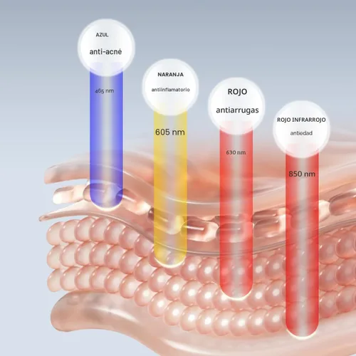 Miniatura 2 de Avorla Máscara LED de belleza – Máscara facial de terapia de luz roja y luz infrarroja para arrugas – Luz azul para el acné – Longitud de onda