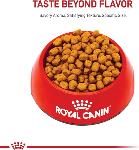 Miniatura 4 de Royal Canin Breed Health Nutrition Shih Tzu Adulto Alimento Seco para Perros, Bolsa de 2.5 lb