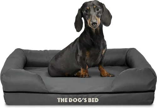 Miniatura 27 de The Dog's Bed - Cama ortopédica de espuma viscoelástica para perros medianos, colchón de soporte de alta densidad, entrada frontal baja, funda negro