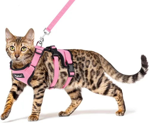 Miniatura 10 de PUPTECK Juego de arnés y correa para gato a prueba de escape para caminar, chaleco de malla transpirable arnés ajustable para gatos cachorros Negro