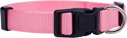 Native Pup Collar básico de nailon para perro, ajustable para mascotas y cachorros pequeños, medianos y grandes, bonitos colores para hombres,