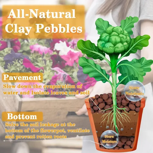 Miniatura 3 de Legigo Guijarros de arcilla Leca orgánica de 10 libras para plantas, bolas de leca 100% naturales de 4 a 0.630 in para plantas