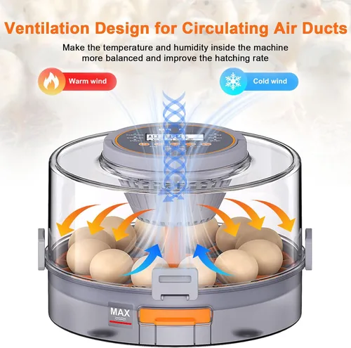 Miniatura 2 de 12 incubadoras de huevos para incubar huevos, incubadora de huevos con rotación automática de huevos, control de humedad y temperatura, vela