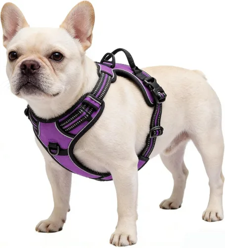 Miniatura 10 de Arnés azul para perro sin tirones con 2 clips para correa, chaleco acolchado suave para perros grandes, chaleco reflectante ajustable para perro