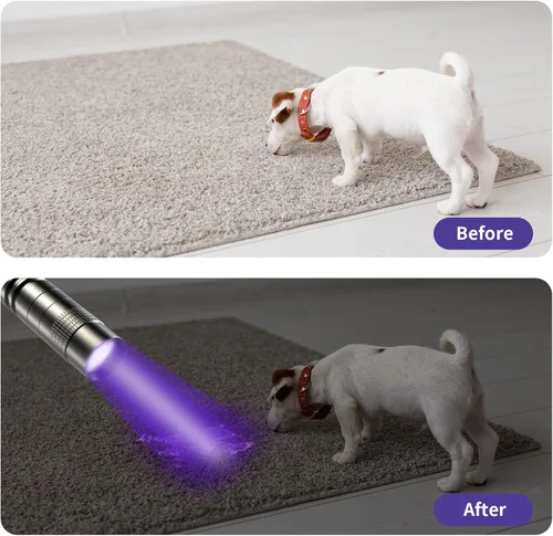 Miniatura 6 de COSOOS Linterna de luz negra UV, 395 nm mini luz de bolígrafo con clip, linterna ultravioleta impermeable para fugas, orina de mascotas, escorpión