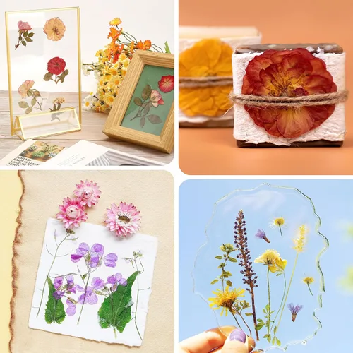 Miniatura 4 de Aboofx Kit de prensa de flores, kits de manualidades de 11 x 11 pulgadas, kit de prensado de flores de madera de 10 capas para manualidades, prensa