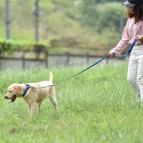 Miniatura 3 de Collar Hyhug Pets de nailon resistente, cómodo y seguro, para entrenamiento profesional, martingala, uso diario, para caminar, antiescape, para Azul