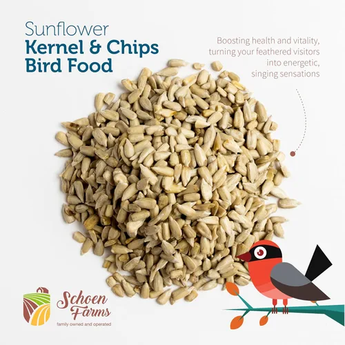 Miniatura 3 de Schoen Farms Granos y patatas fritas de girasol – Bolsa de 10.0 lbs – Semillas de pájaro de corazones de girasol con cáscara – Alimento sin desorden