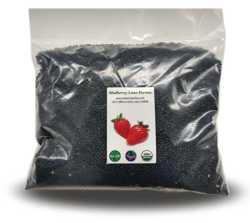 Lentejas Beluga negras de 5 libras enteras certificadas por USDA, orgánicas sin OMG, a granel, producto de EE. UU. Mulberry Lane Farms